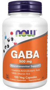 (image for) Now GABA 500 mg 100 Veg Capsules