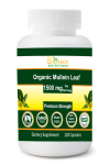 (image for) Biotech Nutritions Organic Mullein Leaf 1500 mg Serving 120 ct