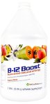 (image for) High Performance Fitness B-12 Boost 1 Gallon-Cherry Charge