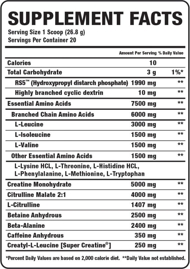 VPX Sports Bang Master 528 Grams Powder